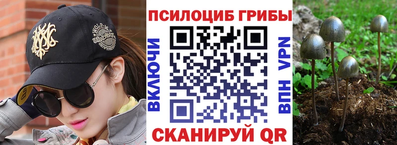 где можно купить   Курлово  Галлюциногенные грибы ЛСД 