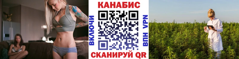 где продают наркотики  Курлово  Бошки марихуана марихуана 